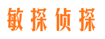 高陵市侦探调查公司